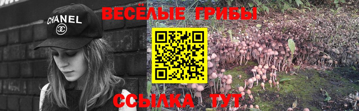 Галлюциногенные грибы мухоморы  Вход с VPN  Краснокамск 